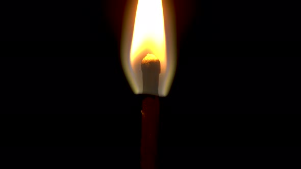 The Match Is Burning On A Black Background