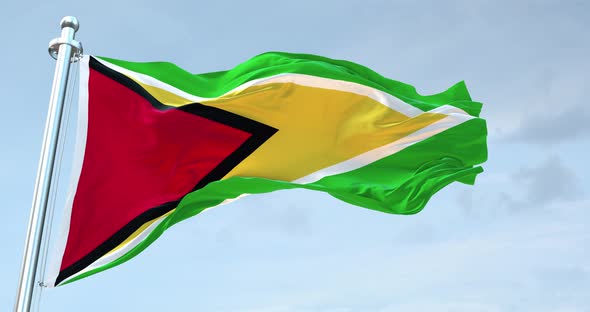 Guyana Flag Waving  Loop  4 K alt