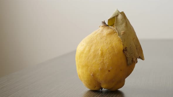 Close-up of organic  quince fruit  slow tilt 4K 2160p 30fps UltraHD footage - Fresh yellow Cydonium  alt