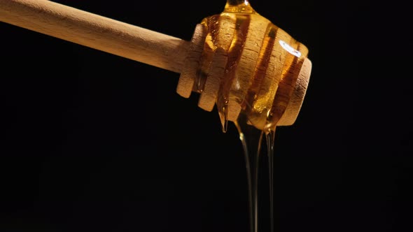 Honey Dipper with Honey on Black Background alt