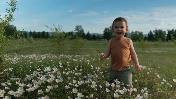 Steadicam Shot of a Little Happy Boy Running Across a Flower Field alt