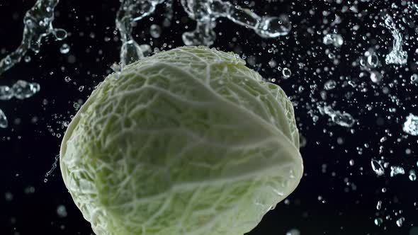 Camera follows water splash on a whole cabbage. Slow Motion. alt