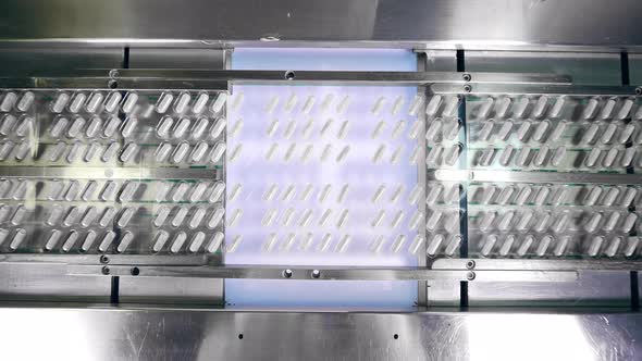 Top View of a Conveyor Belt with Blisters of Capsule Pills alt