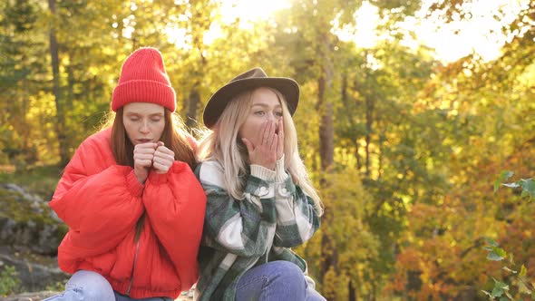 Two Best Friends of Tourists Spend Time in the Autumn Forest Meet the Sunset Together