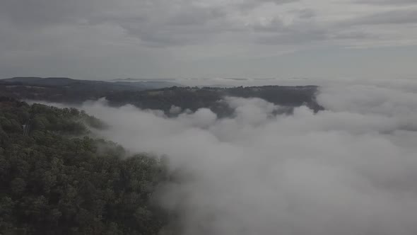 Fog Mist Blue Mountain National Park, New South Wales, Australia Aerial Drone 4K