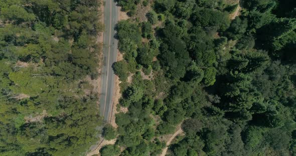 Following back road through the Berkeley hills aerial shot looking down,  Northern California alt