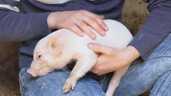 Farmer Holding Baby Pig
