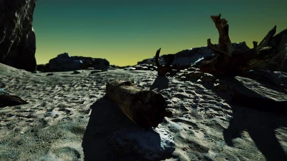 Time Lapse of Logs on a Beach Coast of Majorca alt