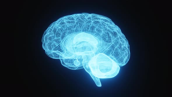 Seamless looping glowing X-ray image of human brain motion rotating 360 degrees