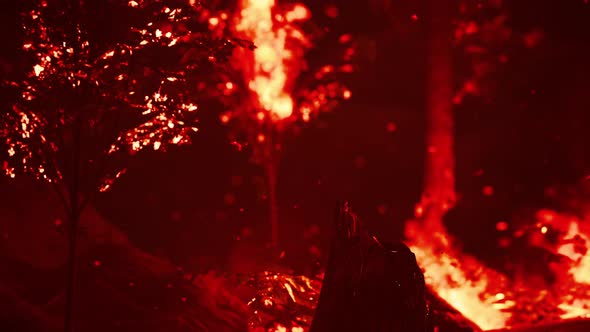 Large Flames of Forest Fire alt