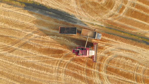Aerial Top View of Combine Harvester Pours Grain Into the Back of a Truck alt