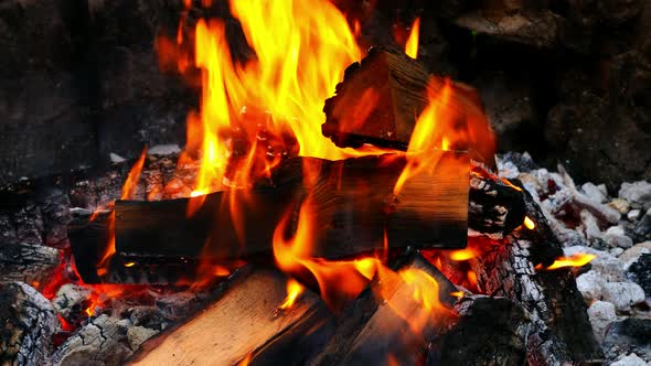 Closeup of hot coals and wood in summer campfire alt