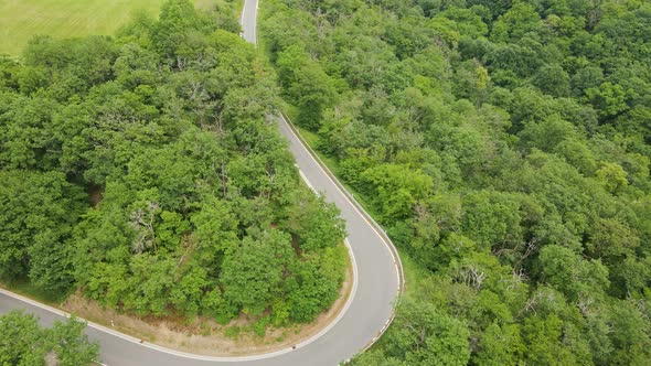 Empty country road with hairpin bends leading down a lush hill surrounded by thick leafy deciduous f alt