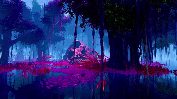 Mysterious jungle