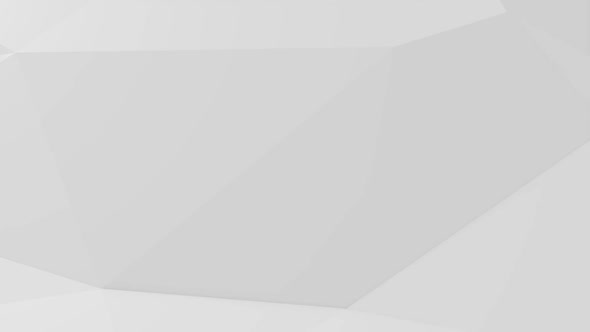 Corporate White Low Poly Background 10 alt