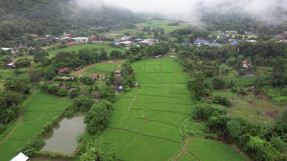 Aerial view of rice field and rural village in the valley, Chiang Mai, Thailand by drone