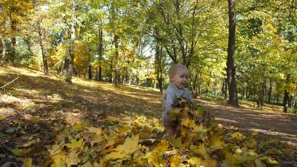 Sweet Toddler Boy Having Fun with Autumn Leaves alt