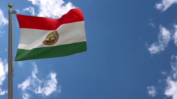 San Diego County Flag California (Usa) On Flagpole alt