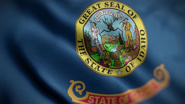 Idaho State Flag Angle