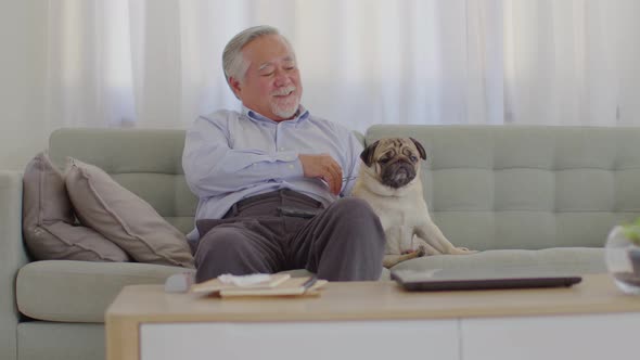 Asian Elderly man with white hairs sit on sofa and playing with dog pug breed at home alt