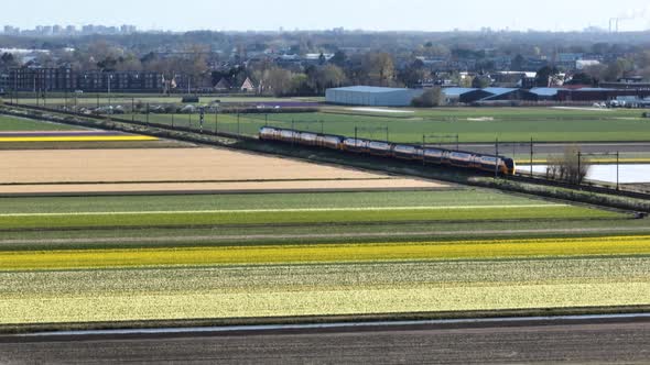 Train passing Dutch flower fields in spring in Bollenstreek; aerial view alt