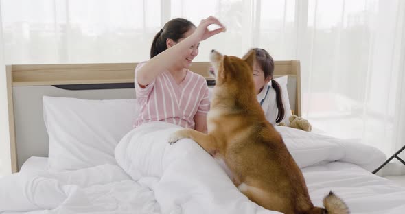 Mother and daughter playing with brown dog on bed 1