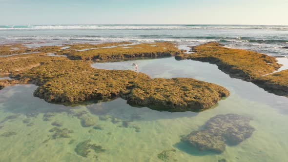 Drone Quickly Flies Over a Woman in a White Bikini Lying on a Natural Reef in Ocean alt