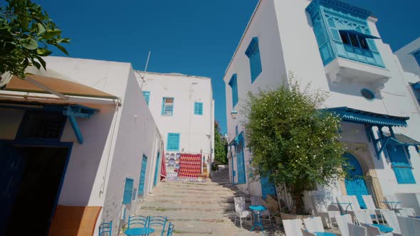 White-blue city of Sidi Bou Said alt
