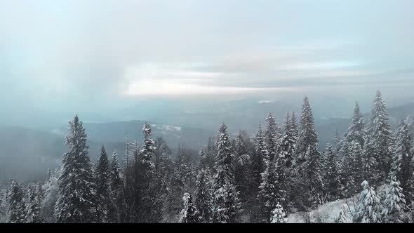 Beutiful and epic cinematic opener. Aerial shoot above winter forest and mountains.