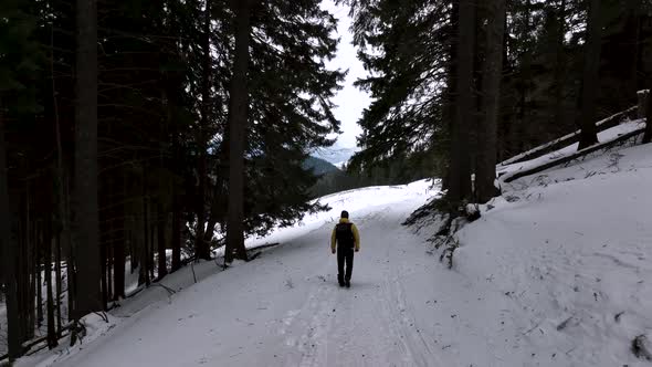 Lone Man Walking Through Snow