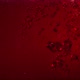 Super Slow Motion Shot of Red Wine Bubble Background at 1000Fps