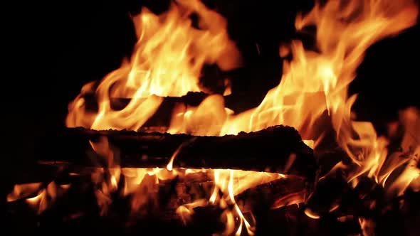 Campfire at night, Burning Wood