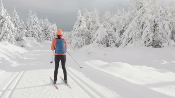 A Crosscountry Skier Skies Down a Trail in a Snowcovered Winter Landscape with Trees alt