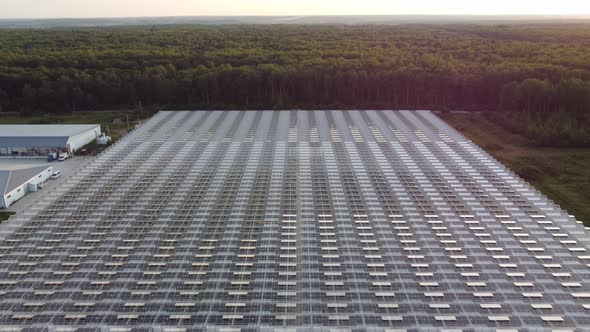 Agricultural Greenhouses