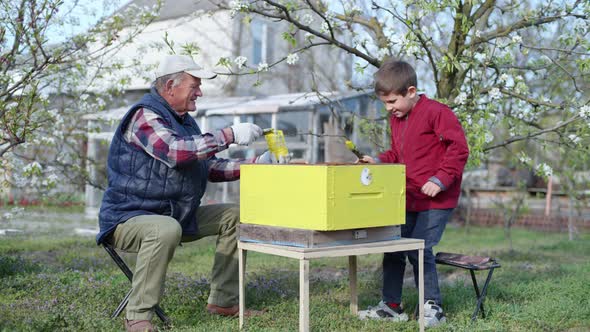 Elderly Male Beekeeper with Hardworking Grandson Paints a Wooden Beehive with Paint and Brushes To