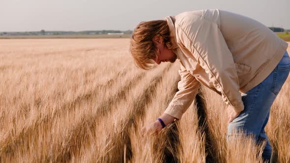 Farmer Working on Wheat Field alt