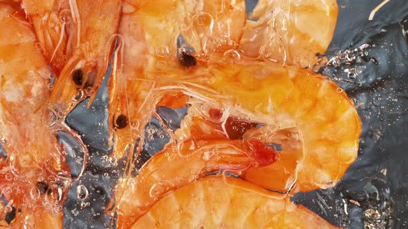 Super Slow Motion Shot of Fresh Shrimps Falling and Splashing Into Water at 1000 Fps alt