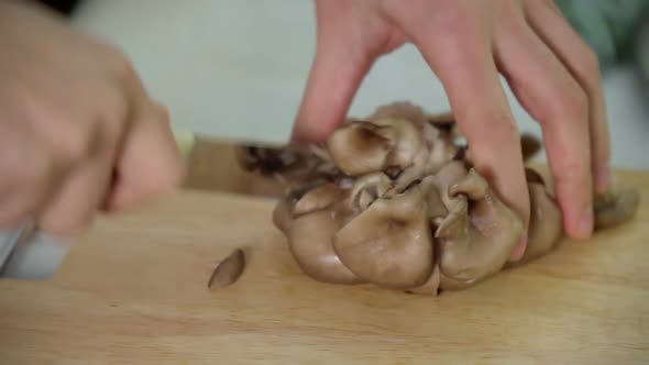 Hands Cut Raw Oyster Mushrooms Into Slices with Sharp Kitchen Knife on Wooden Cutting alt