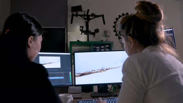 Colleagues Videographer Working alt