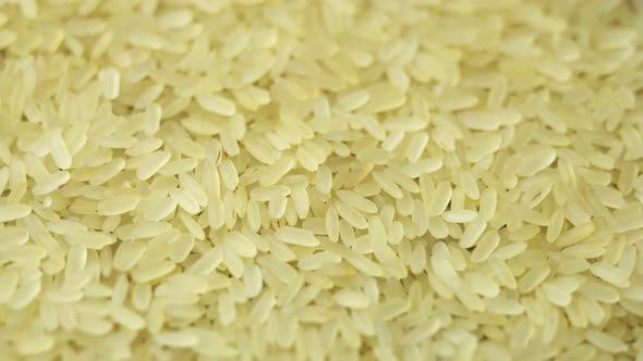 Yellowish Steamed Rice Spins As a Backdrop in a Japanese Restaurant alt