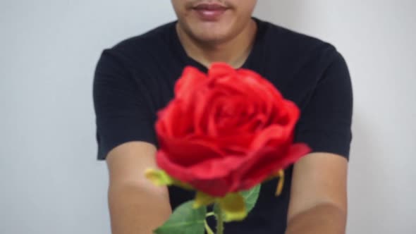 Romantic man giving red rose.