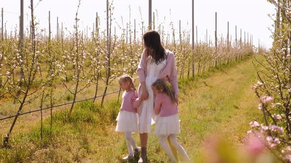 Mother and Twin Daughters Walk Among Young Apple Trees They Are Dressed Alike alt