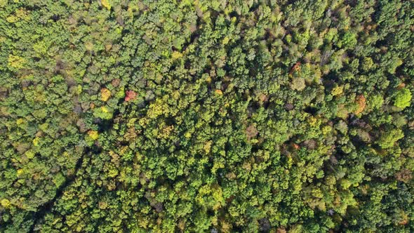 Fall Colors Countryside Woodland