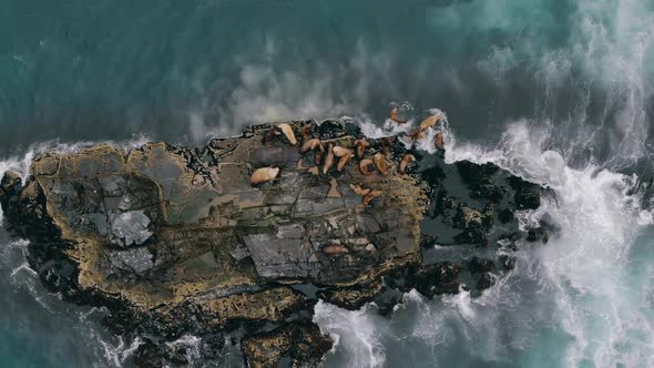 Sea Trips or Unforgettable Journey By Boat or Ship From Petropavlovsk-Kamchastky or Nevelsk. Slow alt