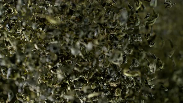 Super Slow Motion Shot of Dried Green Tea Explosion Isolated on Black Background at 1000Fps alt