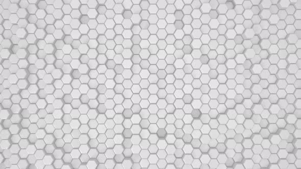 Abstract Hexagon Geometric Surface White