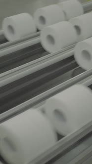 Conveyor in a Paper Mill alt