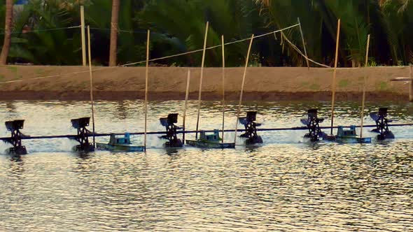 Shrimp farming pond with radial paddle aerators at Samut Songkhram in Thailand alt