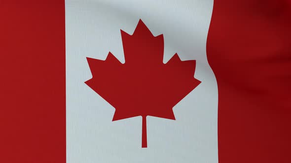 Waving Canada flag