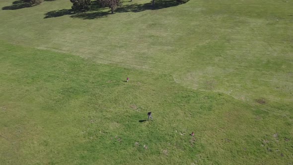 Drone orbiting around small dark forest patch within large field in the vast countryside  prairies. alt